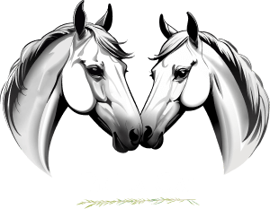 logo pe la cai